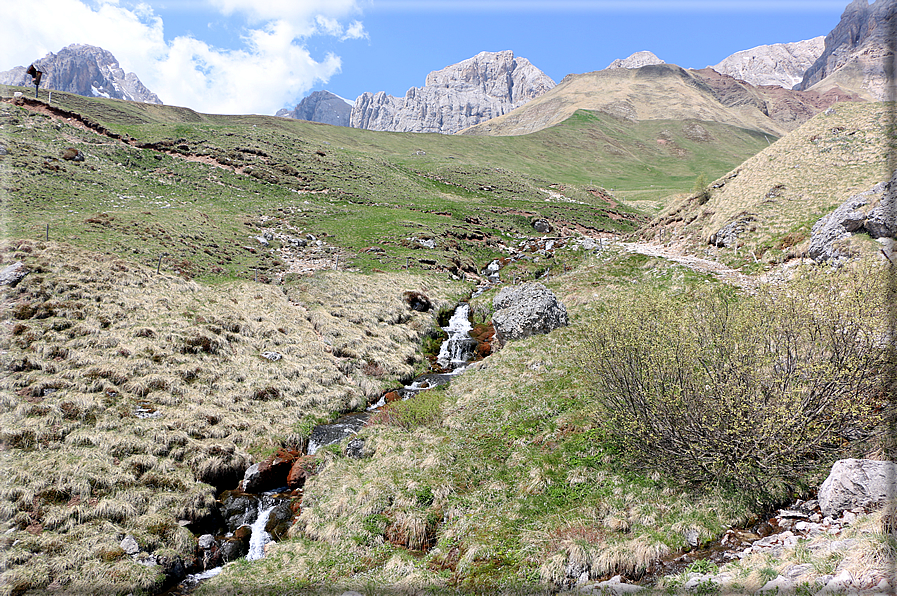 foto Forca Rossa e Passo San Pellegrino